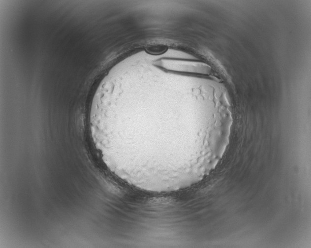 X0000072530063200608111757