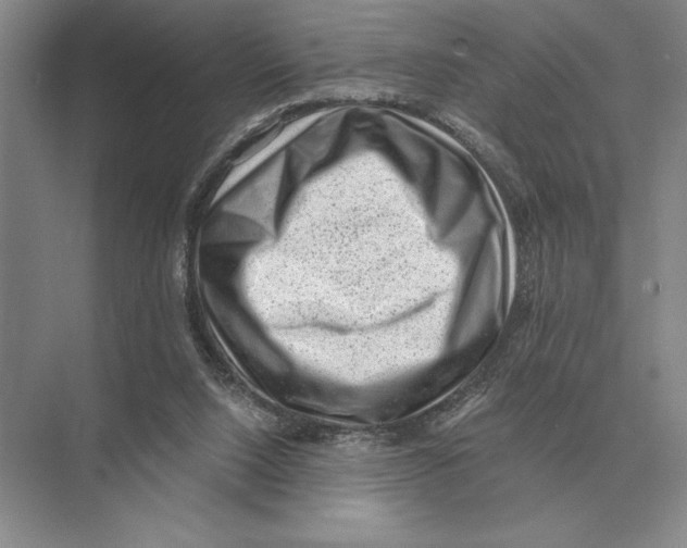 X0000072530064200608111757