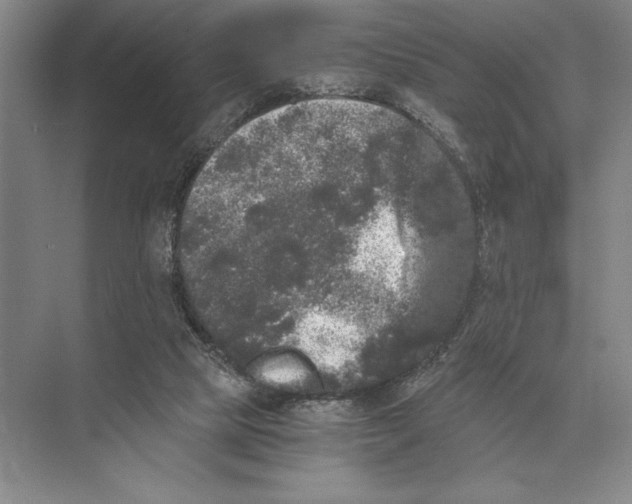 X0000072530065200608111757