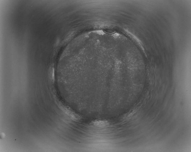 X0000072530067200608111757