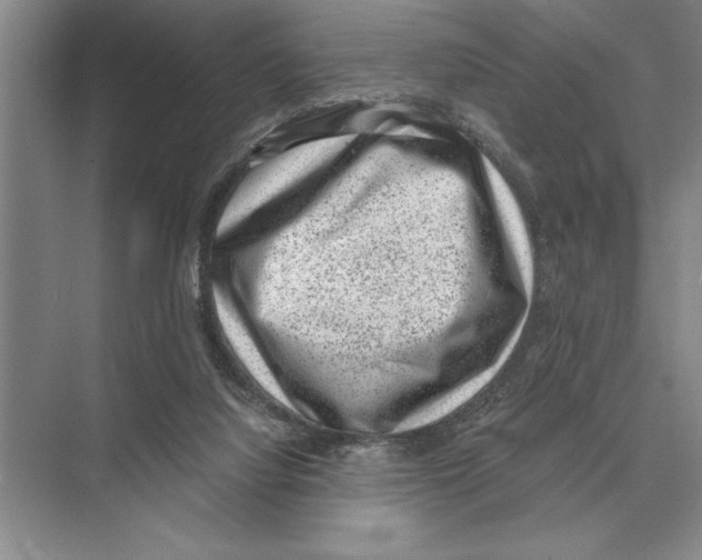 X0000072530068200608111757