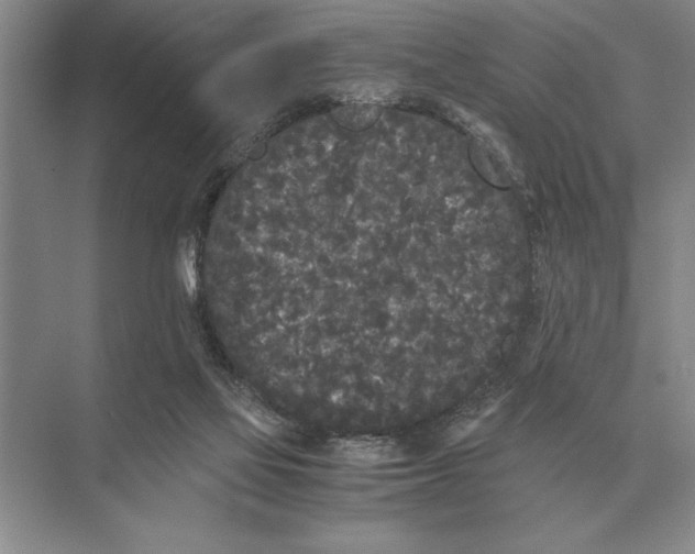 X0000072530069200608111757