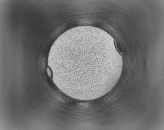 X0000072530071200608111757