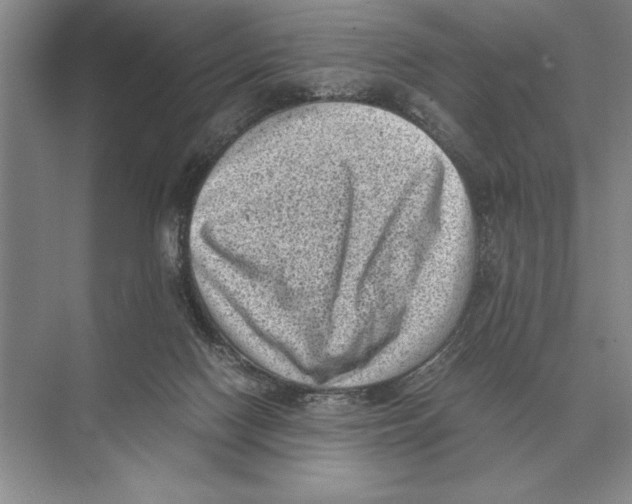 X0000072530074200608111757