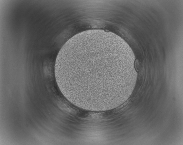 X0000072530078200608111757