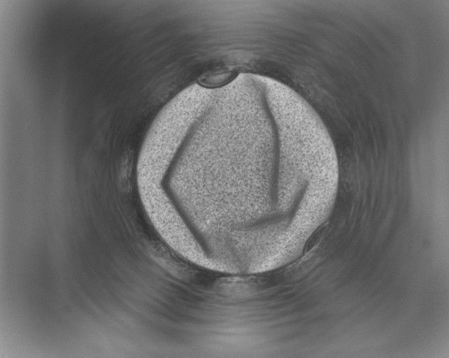 X0000072530082200608111757