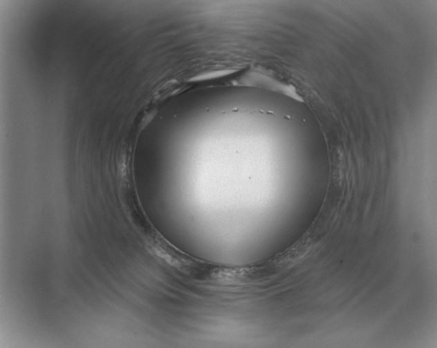 X0000072530084200608111757