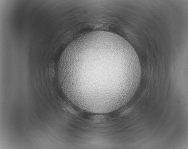 X0000072530085200608111757