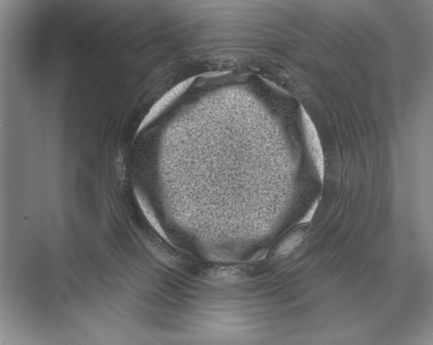 X0000072530086200608111757