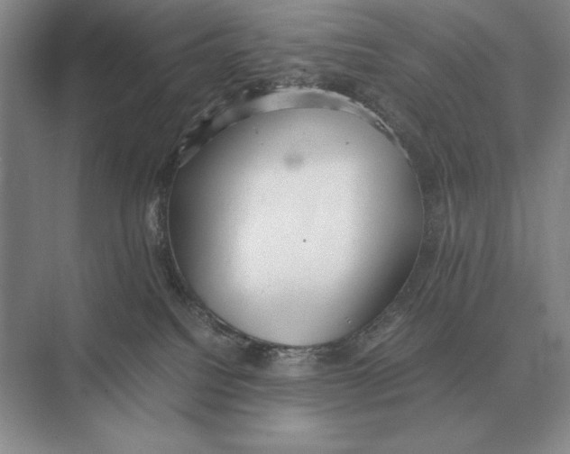 X0000072530088200608111757