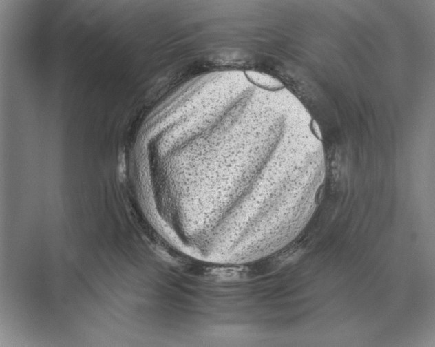 X0000072530089200608111757