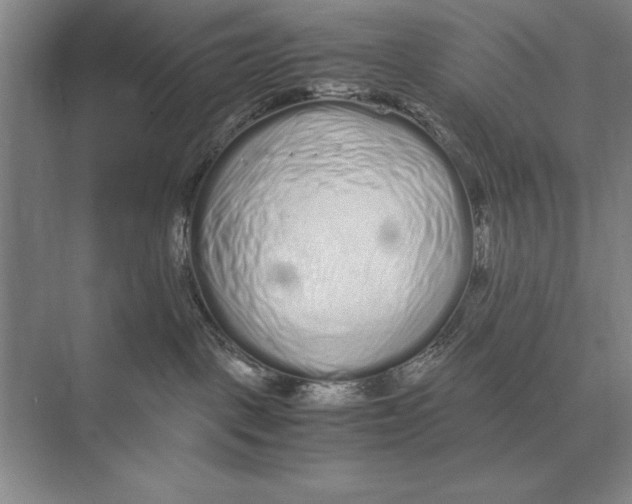 X0000072530093200608111757