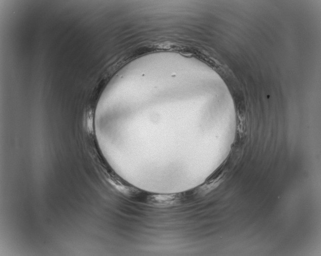 X0000072530095200608111757