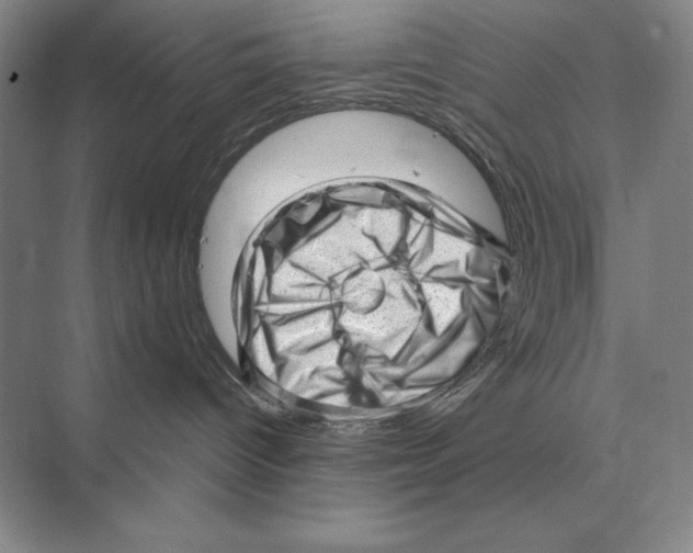 X0000072530096200608111757