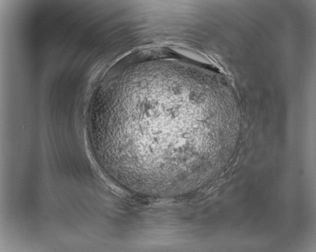 X0000072530097200608111757