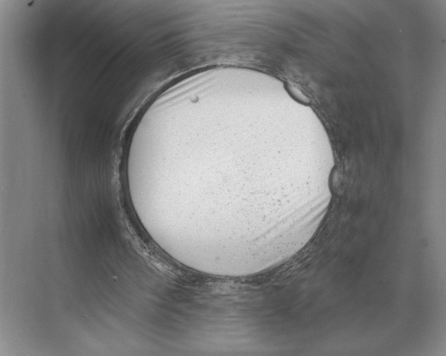 X0000072530098200608111757