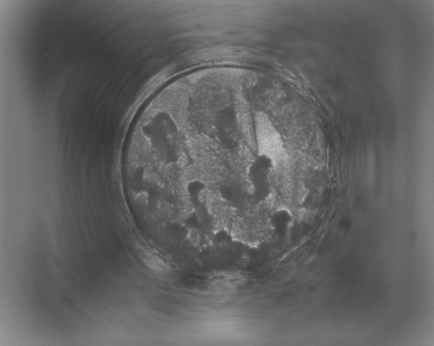 X0000072530099200608111756