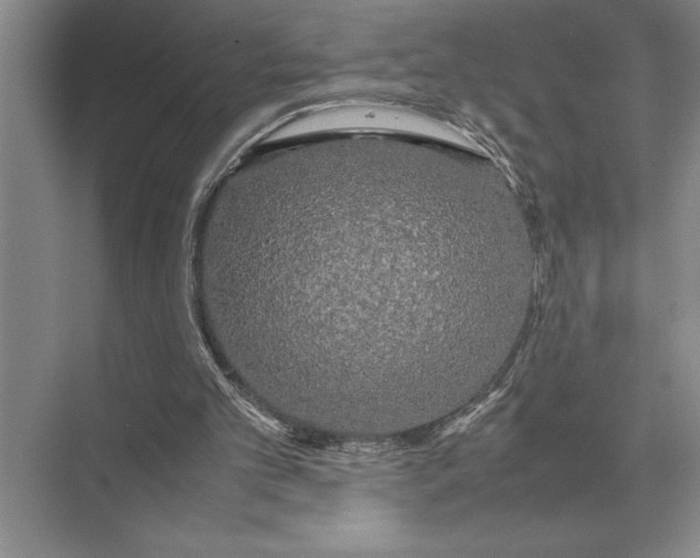 X0000072530101200608111756