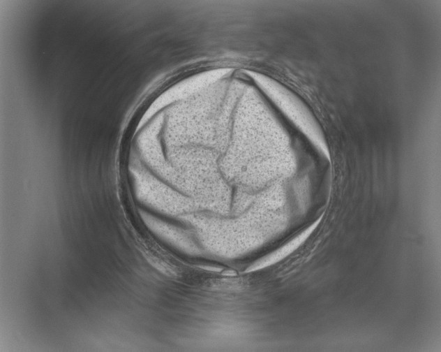 X0000072530102200608111756