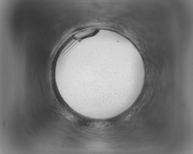 X0000072530103200608111756