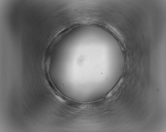 X0000072530105200608111756