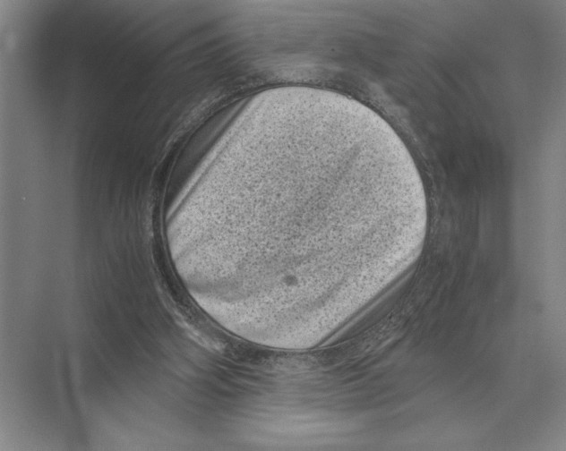 X0000072530106200608111756