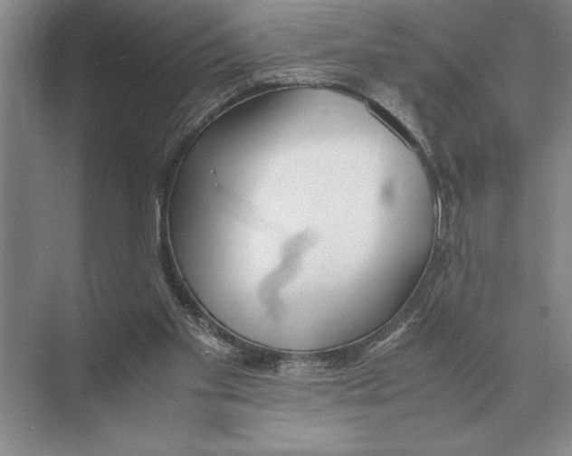 X0000072530109200608111756