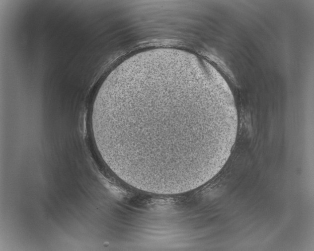 X0000072530110200608111756