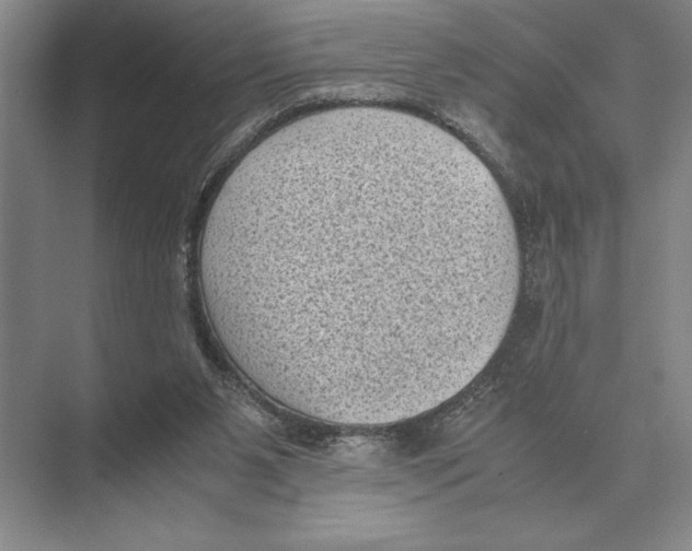 X0000072530111200608111756