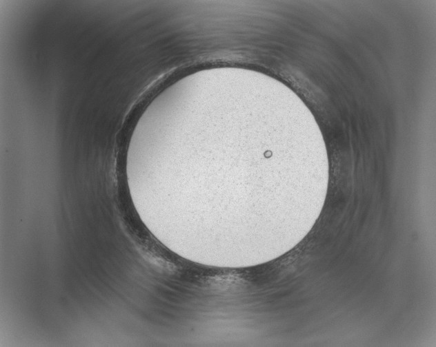 X0000072530112200608111756