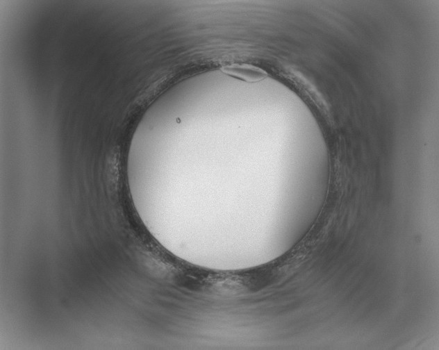 X0000072530113200608111756