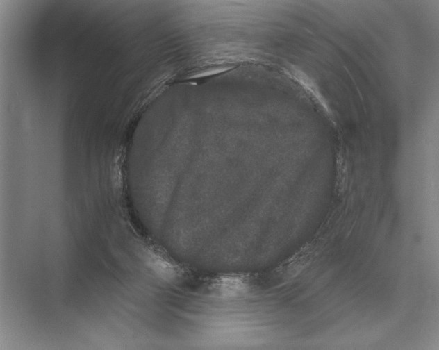 X0000072530114200608111756