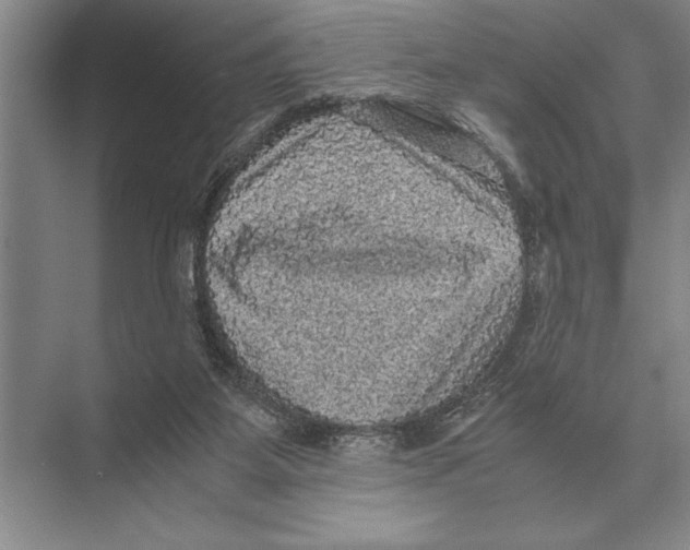 X0000072530115200608111756