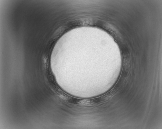 X0000072530123200608111756