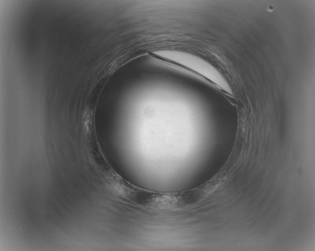 X0000072530125200608111756