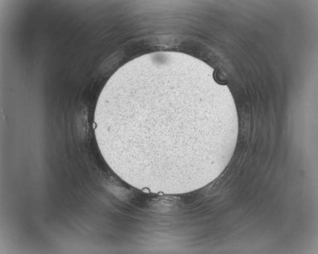 X0000072530128200608111756