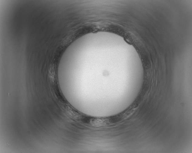 X0000072530129200608111756