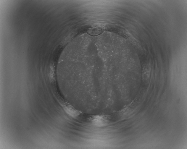 X0000072530130200608111756