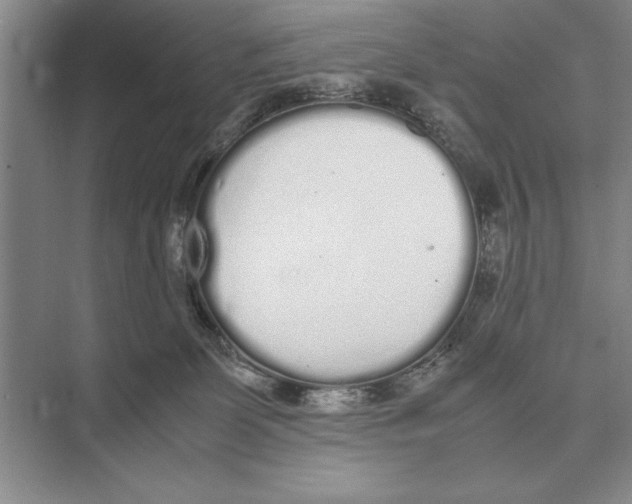 X0000072530131200608111756