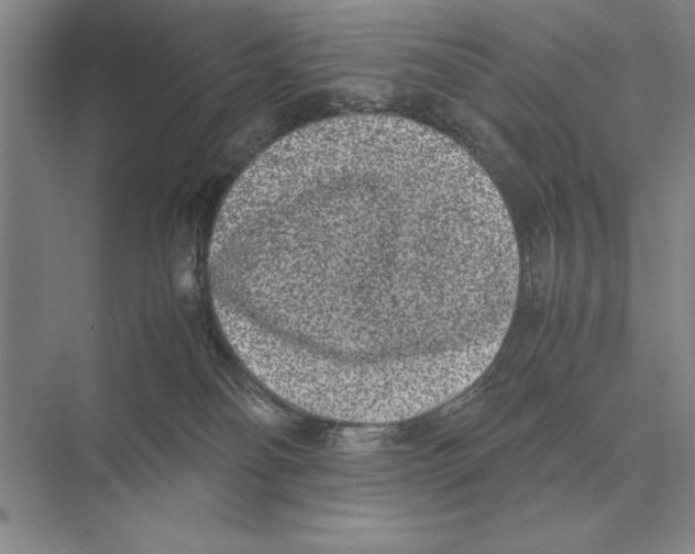 X0000072530134200608111756