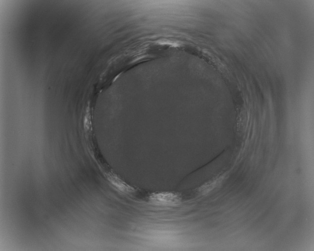 X0000072530137200608111756