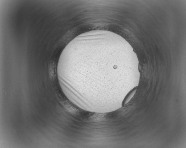 X0000072530138200608111756