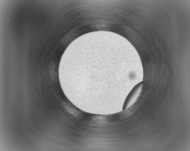 X0000072530140200608111756