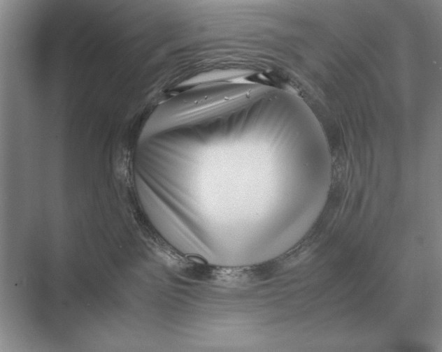 X0000072530141200608111756