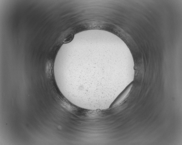 X0000072530142200608111756