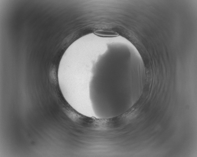 X0000072530143200608111756