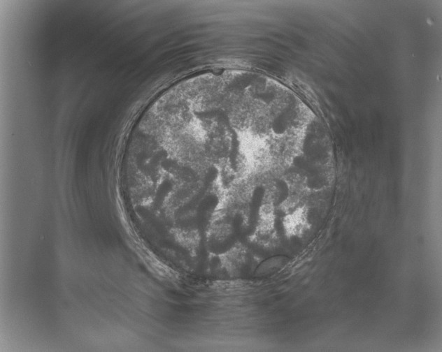 X0000072530145200608111755