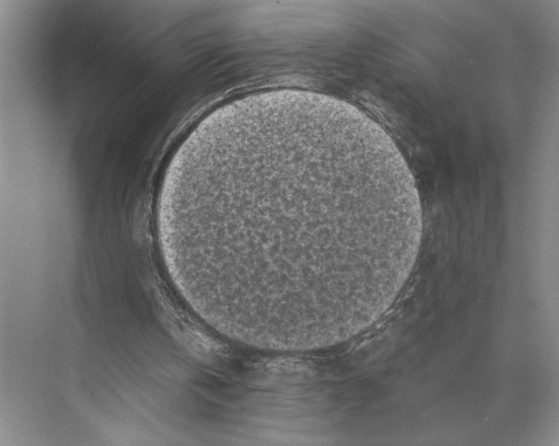 X0000072530146200608111755