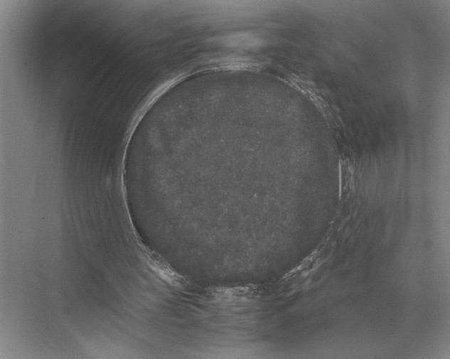 X0000072530147200608111755