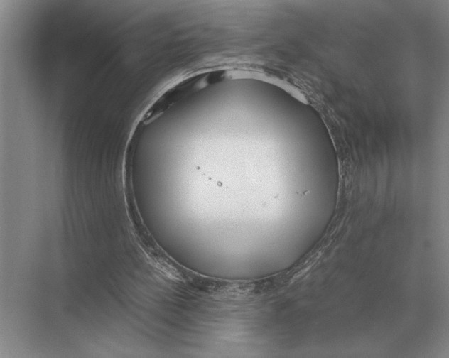 X0000072530148200608111755